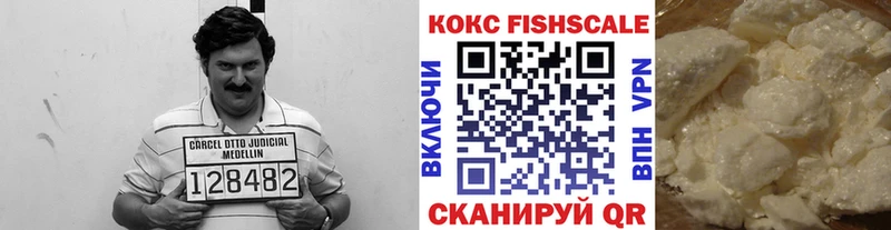 COCAIN Fish Scale  где найти   Урень 