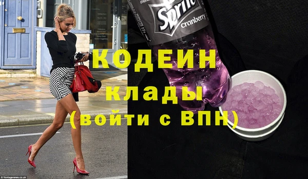 МДПВ Вяземский
