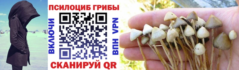 Галлюциногенные грибы Magic Shrooms  купить наркотик  Урень 